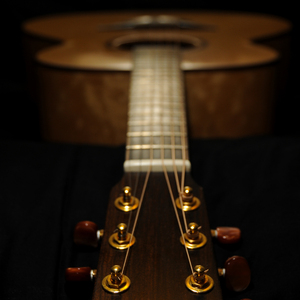 毛茸茸的中国女bbw
